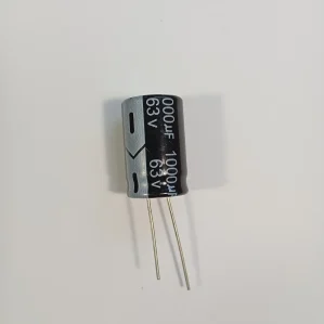 63V 1000uF